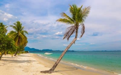 Explore Aruba After Dark With World Concierge Travel